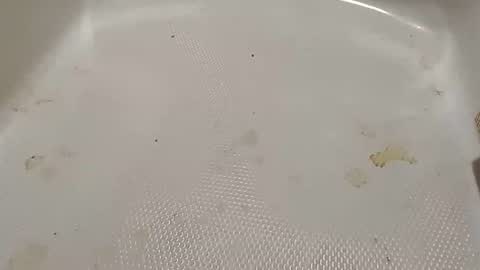 texasboy000001 online show from July 14, 8:18 am