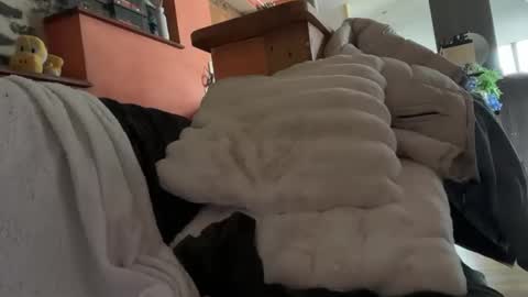 Timplaw online show from February 11, 1:20 pm