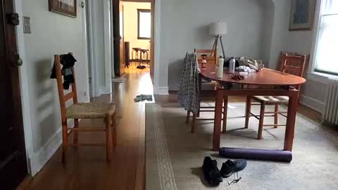 Joe online show from October 30, 2:18 pm