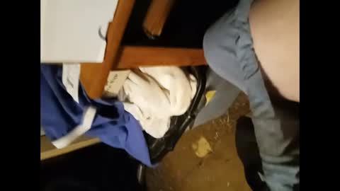 to_boldly_go online show from September 21, 11:16 pm