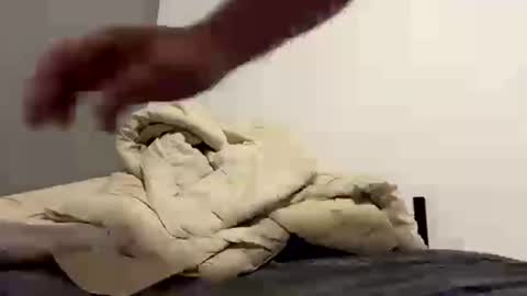 Turtlee25 online show from July 24, 9:44 pm