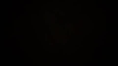 toxicted4 online show from December 5, 2:22 pm