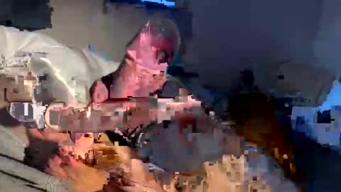 Hemmys online show from May 26, 11:39 am