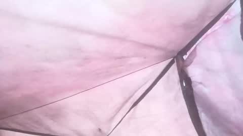 vegboy87 online show from April 11, 8:40 am