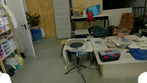 Viv online show from November 28, 8:33 pm