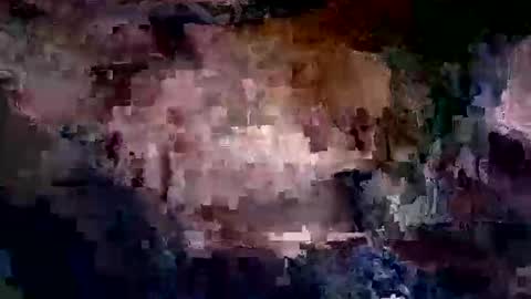 whitpine1 online show from April 9, 3:15 am