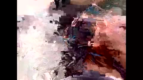 Wild online show from May 31, 8:37 am