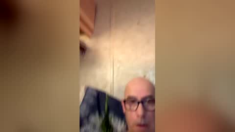 will19672025 online show from April 11, 9:57 am