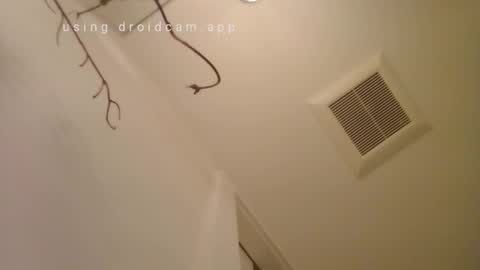 willzee8 online show from February 23, 9:44 am