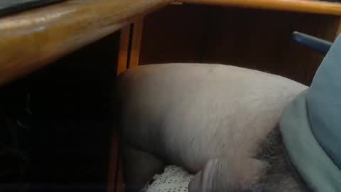 Wineman88886 online show from April 22, 5:07 pm