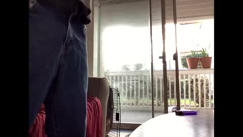 kindahorny online show from October 20, 2:32 pm