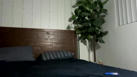 zayden online show from October 24, 12:51 pm