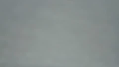 zobilov online show from May 31, 6:09 pm