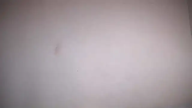 Osiiriis online show from February 12, 1:06 pm