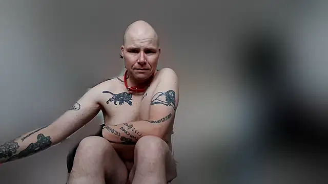 gaywolf426 online show from February 19, 8:33 am