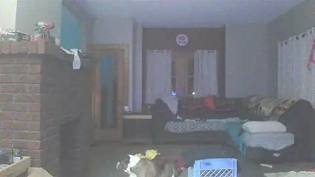 Smurfschmidt online show from February 22, 2:24 am