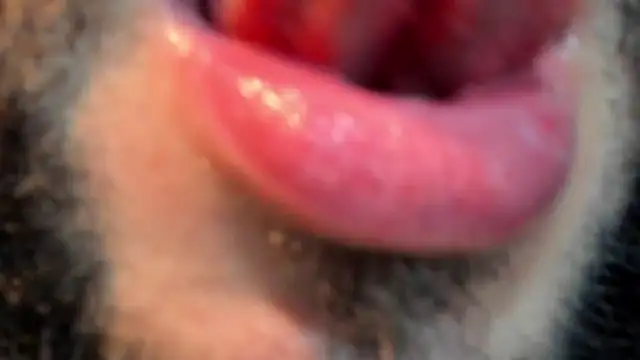 BruceDallas online show from June 27, 5:21 am