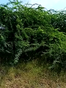 RockyNonStop online show from September 20, 4:23 am