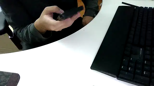 big-pig online show from November 7, 10:40 am