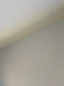 CHATORJ online show from February 15, 11:07 am