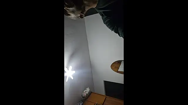 guinho sp online show from May 15, 7:49 am