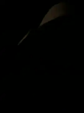 Carlosmorenosc online show from May 30, 12:21 am