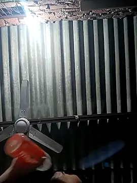 Dreamdaze2025 online show from March 24, 6:56 pm