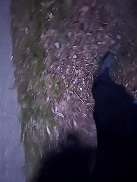 OdinWolf1990 online show from April 11, 6:44 pm