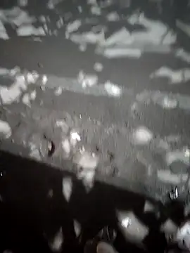 telugu boyy online show from November 22, 6:29 pm