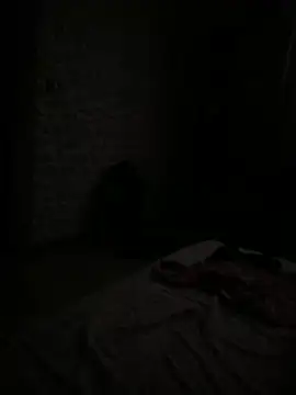 Herbert0000 online show from June 21, 11:54 pm