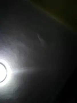 gerinwatch online show from January 19, 9:00 am