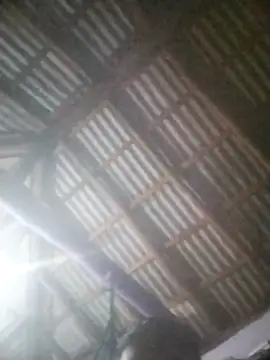 Feli230990 online show from April 8, 5:19 am