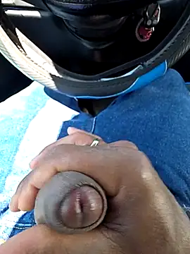 Perritoartemiza online show from April 21, 7:53 pm