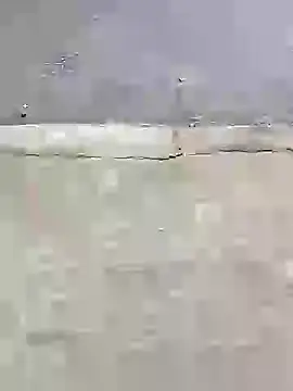 Southindian6996 online show from January 31, 1:54 am