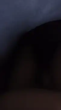 humble dick online show from November 24, 12:22 am