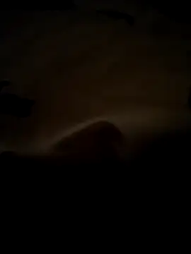 baojai01 online show from March 6, 12:02 pm