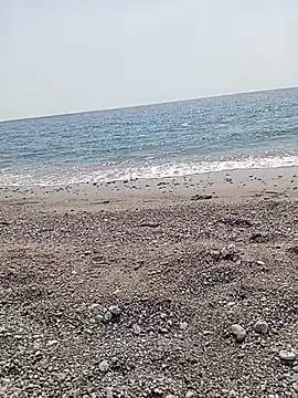 NAvoglia online show from July 14, 1:28 pm