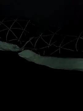 spidersA online show from April 17, 2:47 am