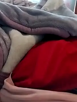 Thakgiey online show from March 16, 11:47 am