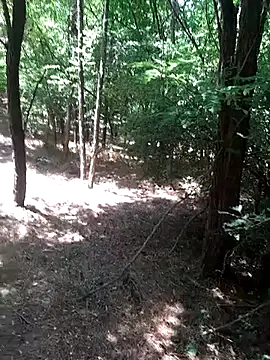 sile47 online show from July 16, 10:55 am