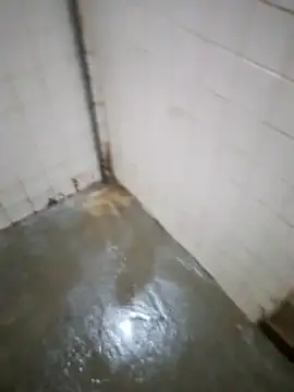 Big Penis 1000 online show from November 22, 10:42 pm