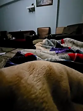 fena-sikerimmm online show from February 21, 2:45 am