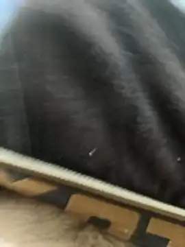 Bio-teacher online show from April 23, 8:00 pm