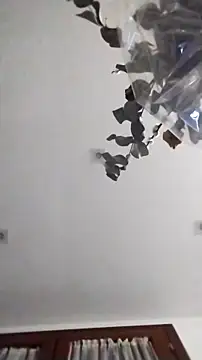 PearlingBunkbed online show from September 15, 4:36 am