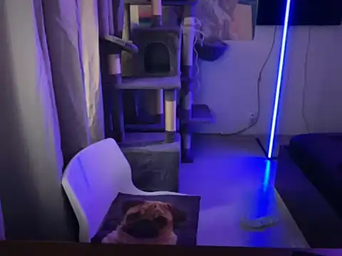 davesinner online show from March 2, 7:15 am