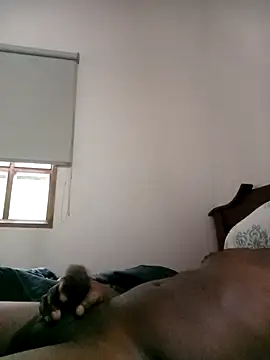 sharpei online show from March 24, 11:48 am