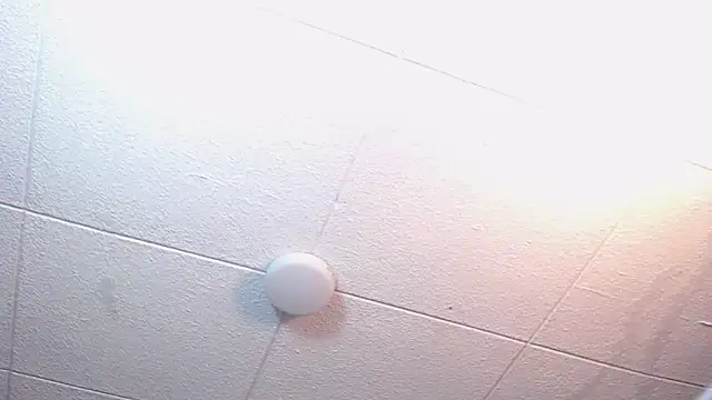 RichardMilleer online show from February 24, 1:56 pm