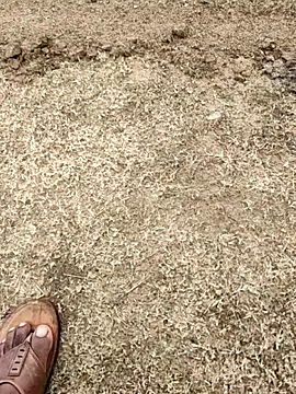 telugumodda4396 online show from October 9, 2:38 am