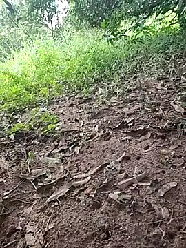 telugumodda4396 online show from October 20, 10:52 am