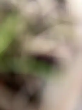 patrik9991 online show from April 2, 1:41 pm